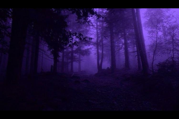 Фон сервера