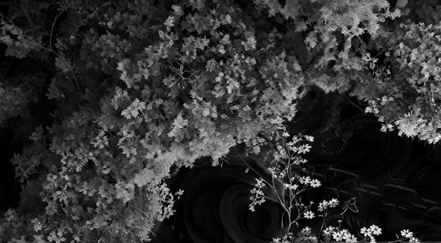 Фон сервера